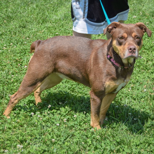 Koda photo 2