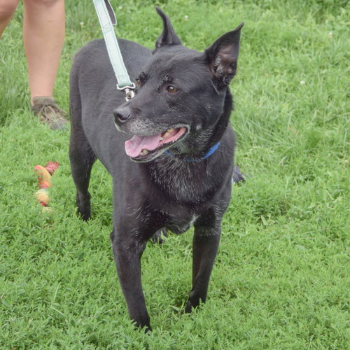 Binx photo 5