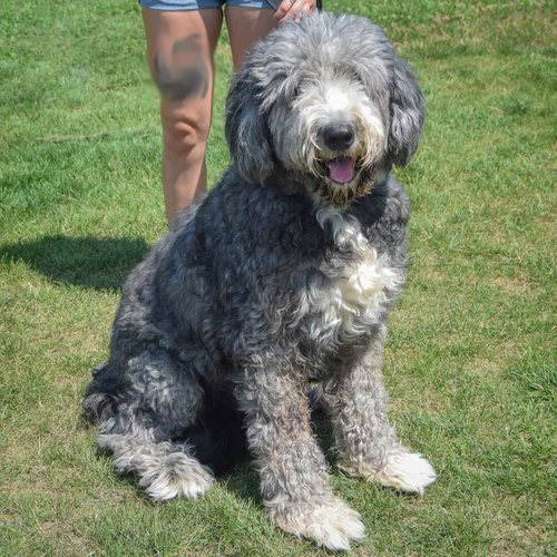 Rugsby photo 3