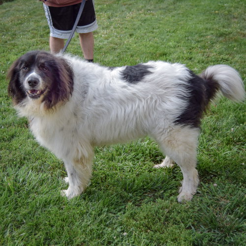 Rupert photo 2