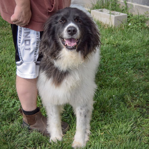 Rupert photo 3