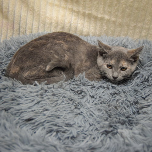 Photo 2 of Laverne