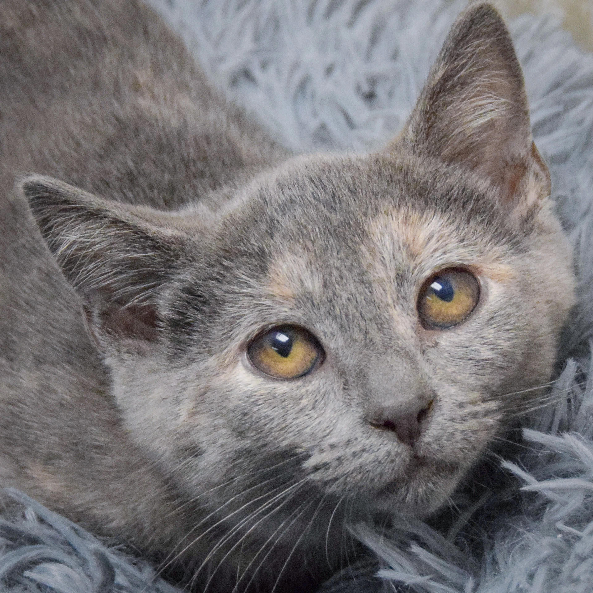 Laverne
