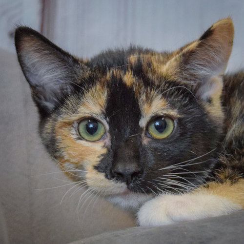 Photo 4 of Minnie
