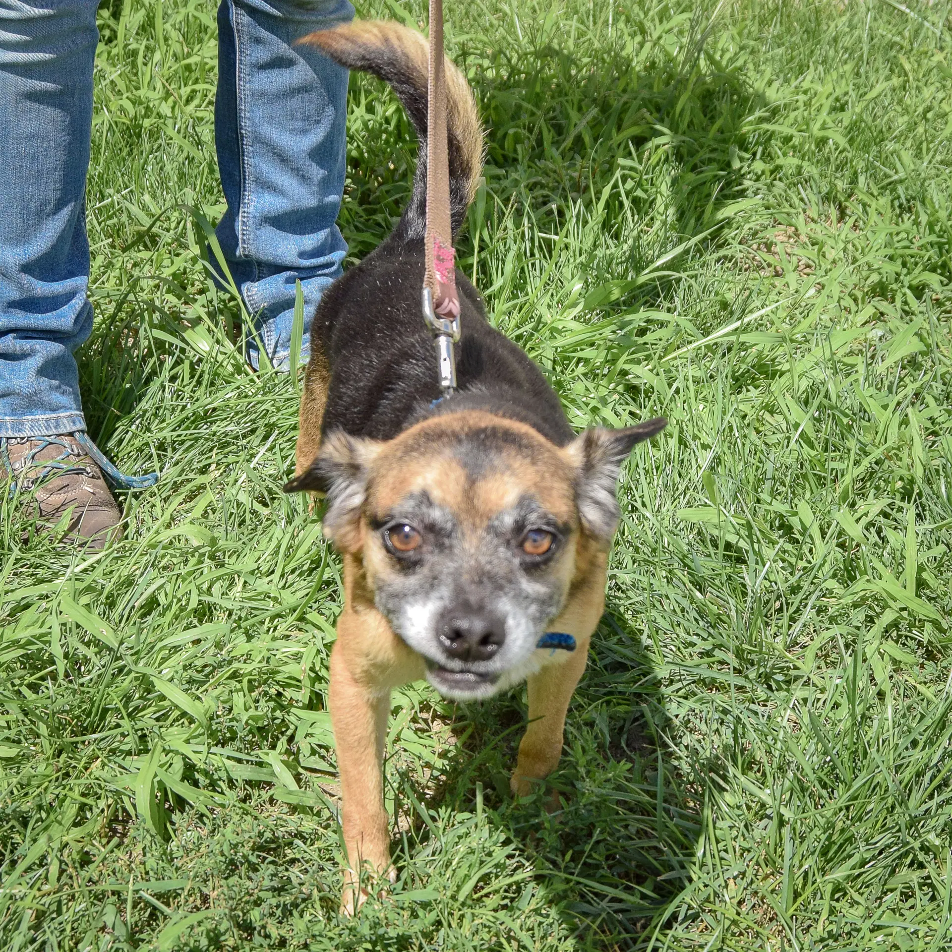 Tucker image 4