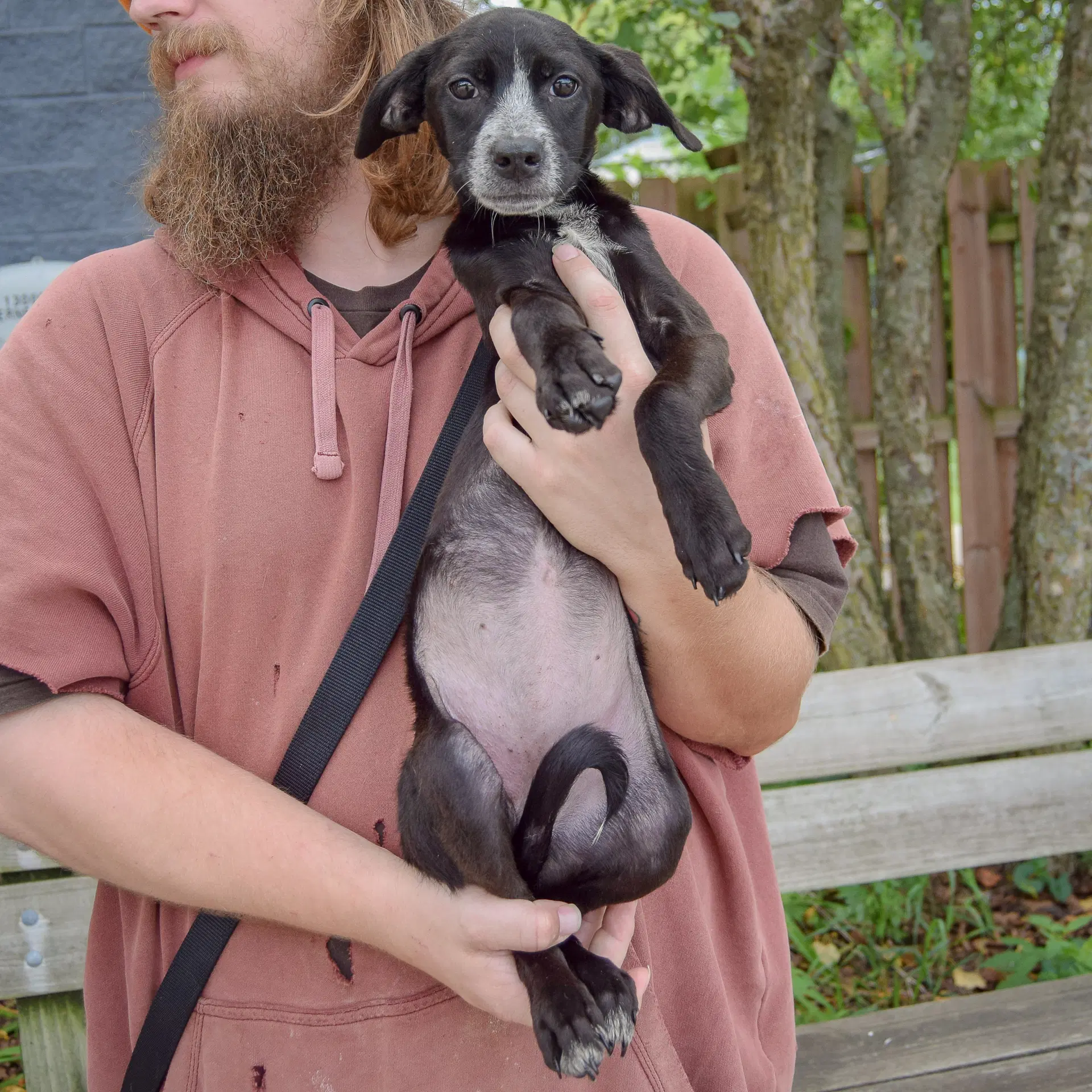 Prue image 4