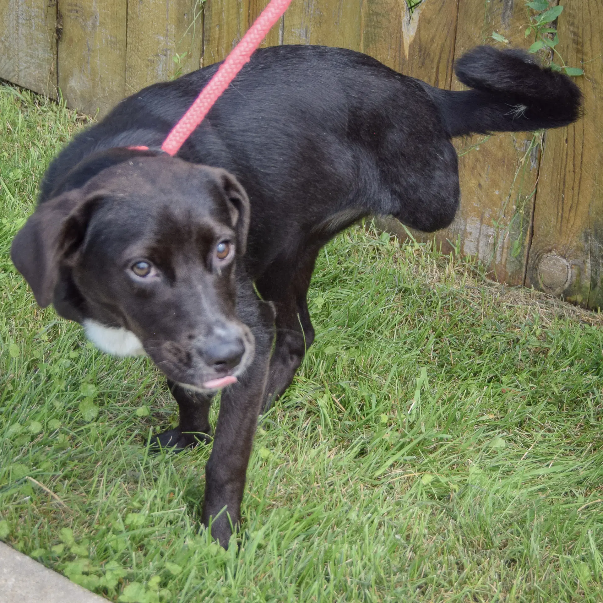 Gabby image 3