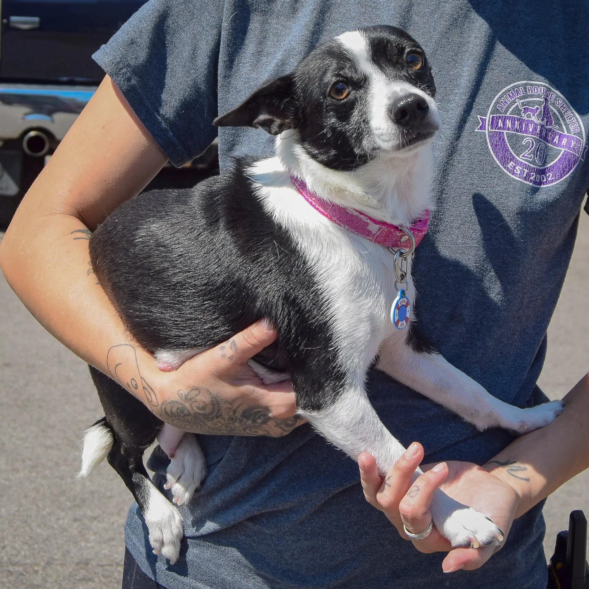Roxie image 3