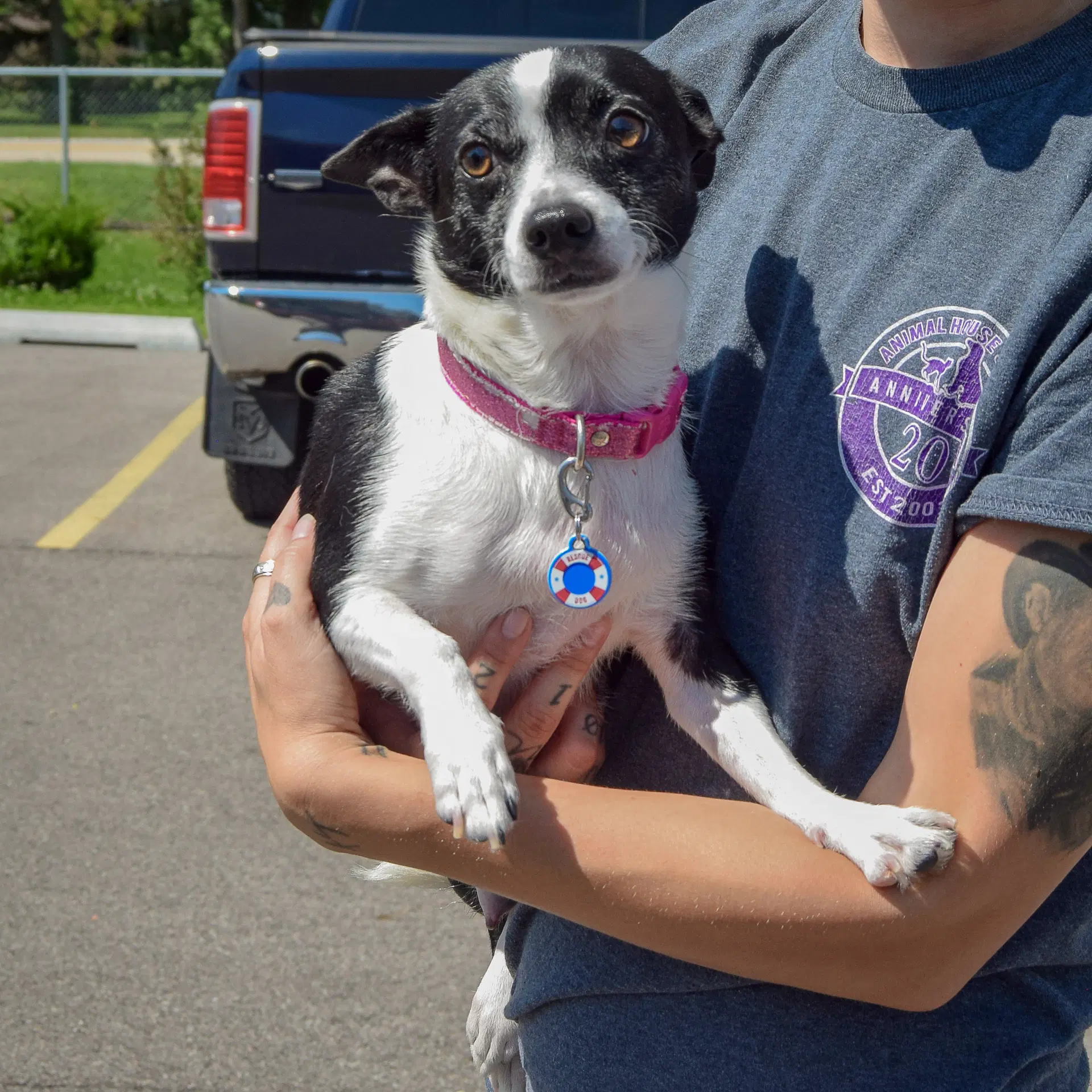 Roxie image 4