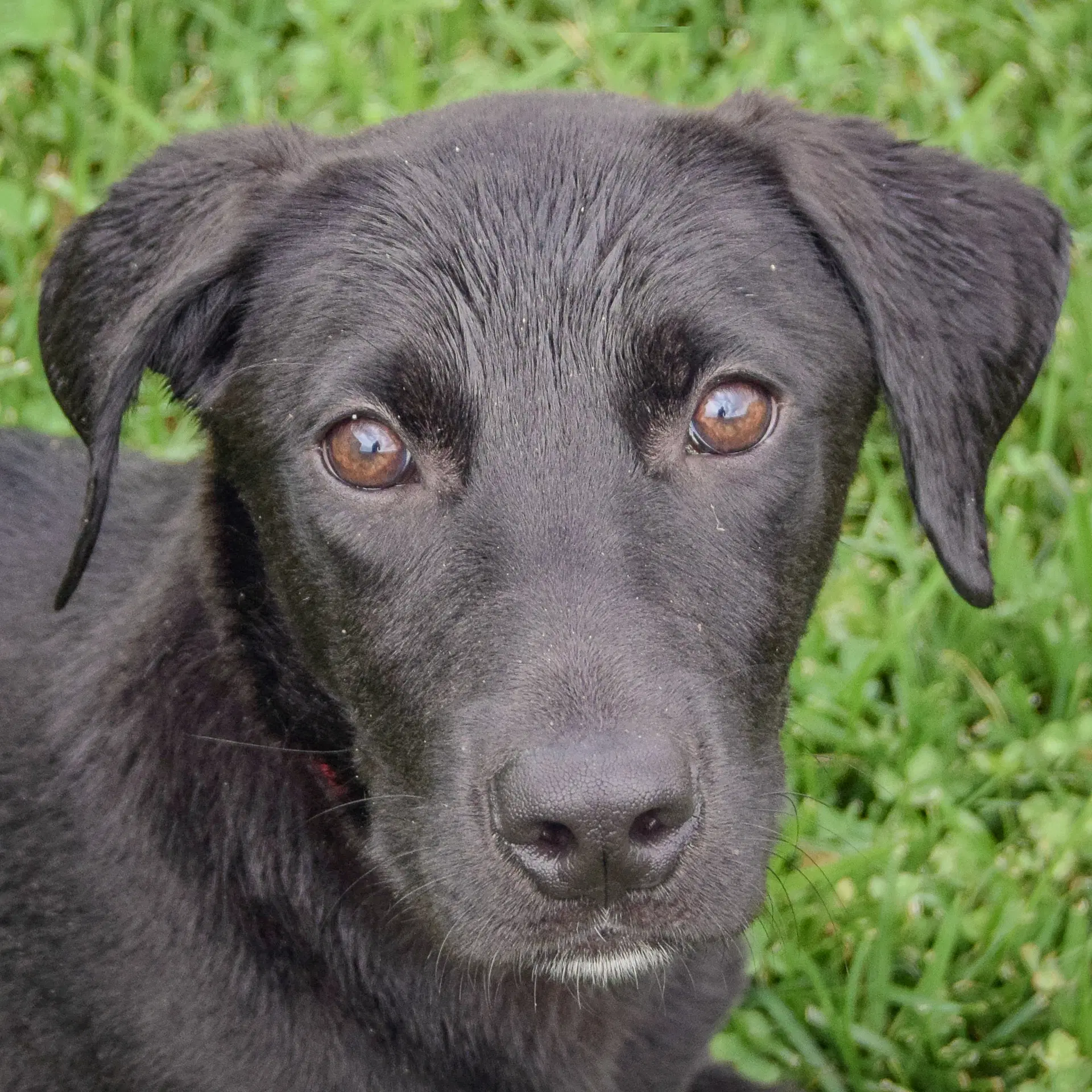 Maxi image 1