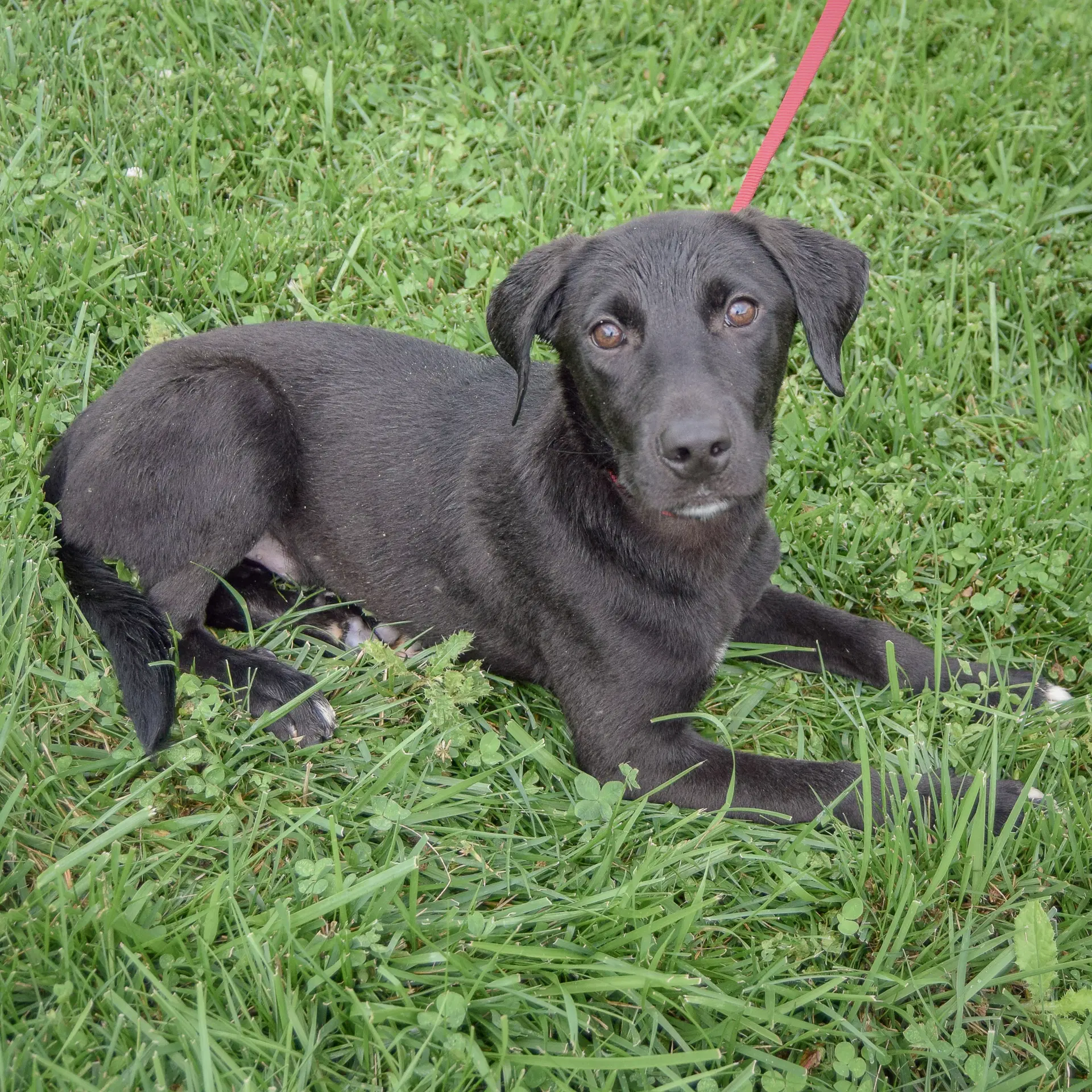 Maxi image 3