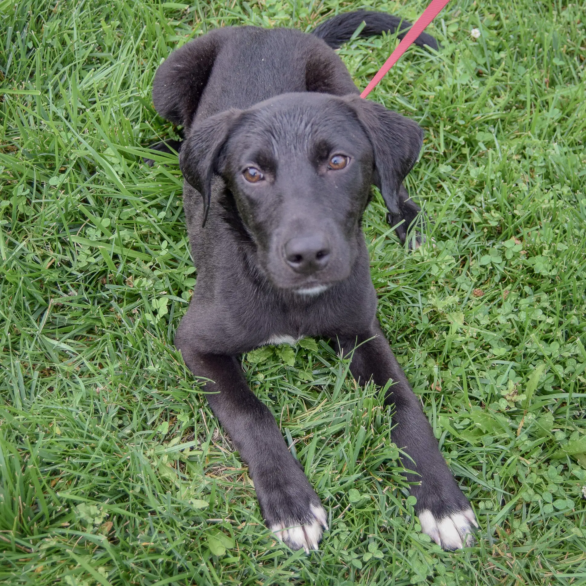 Maxi image 4