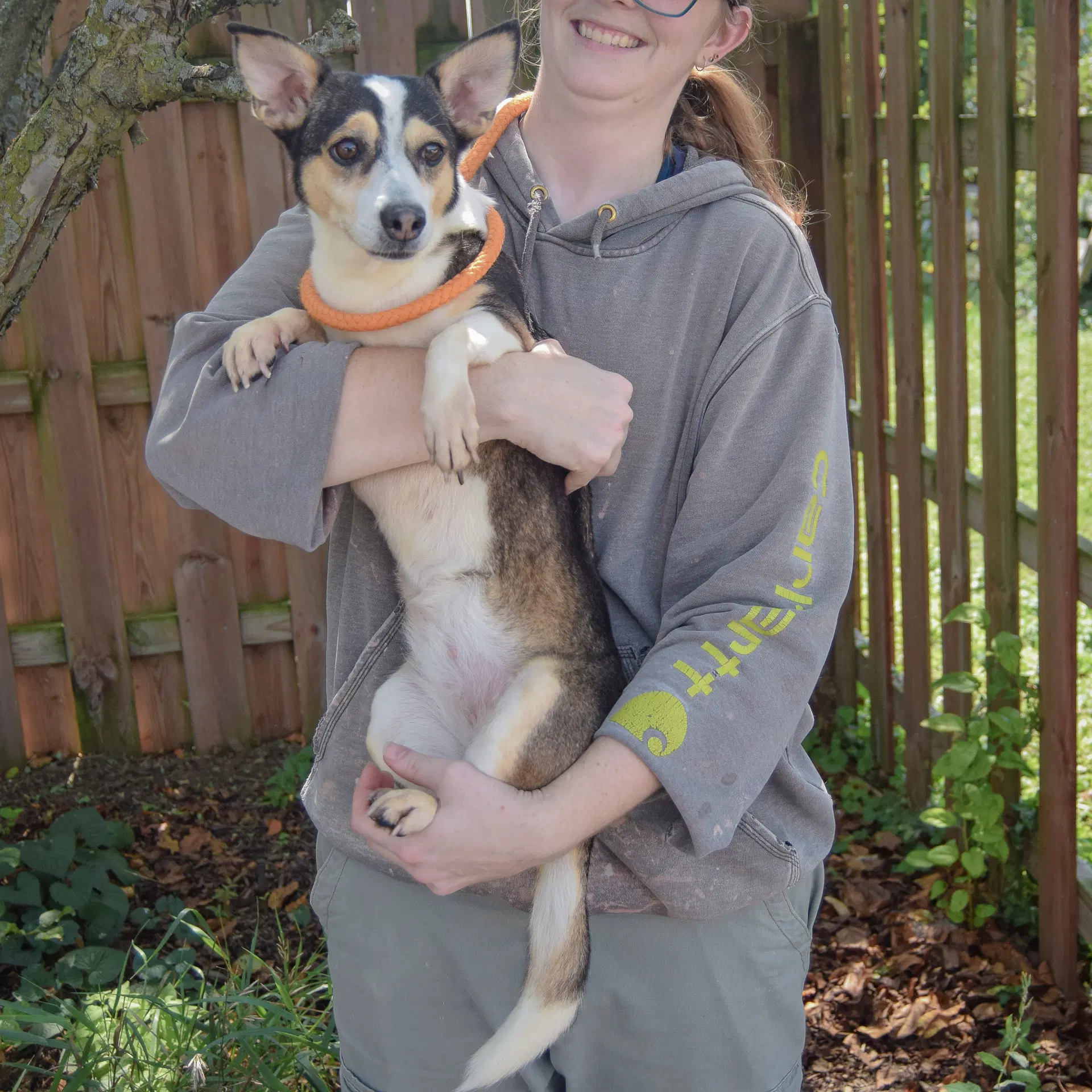 Barky image 3