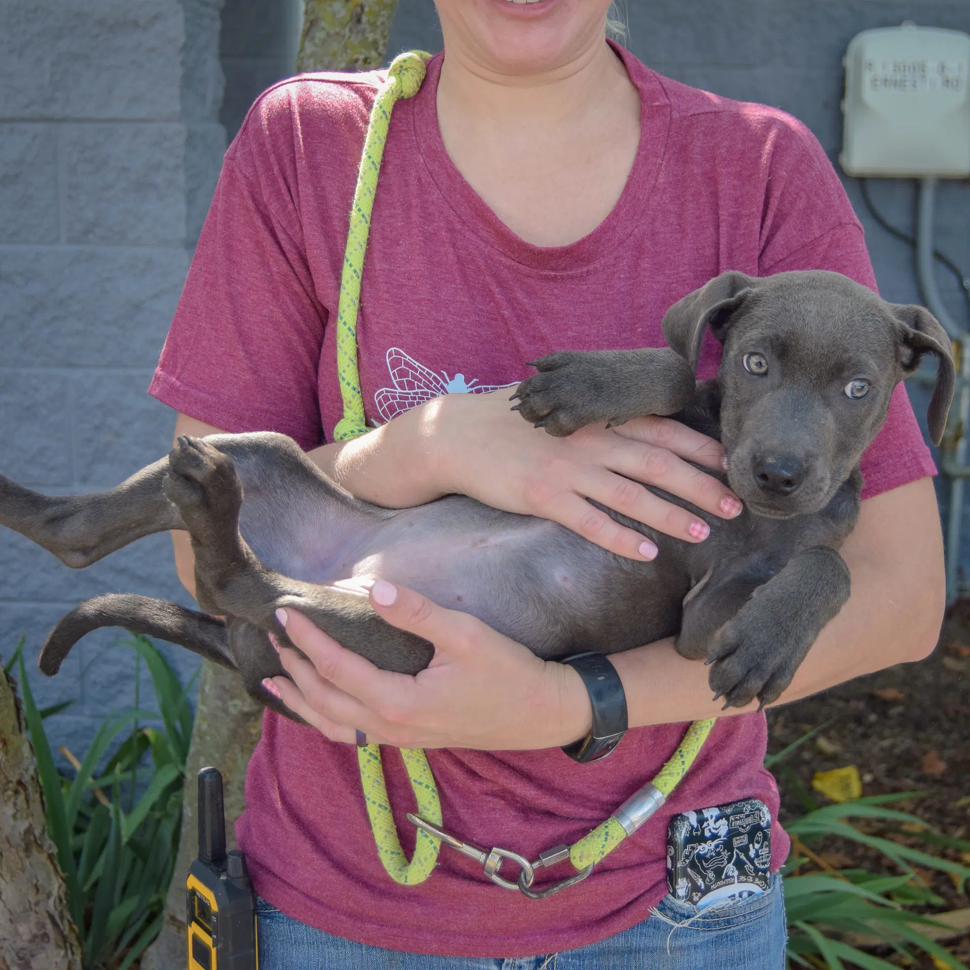 Audrey image 4