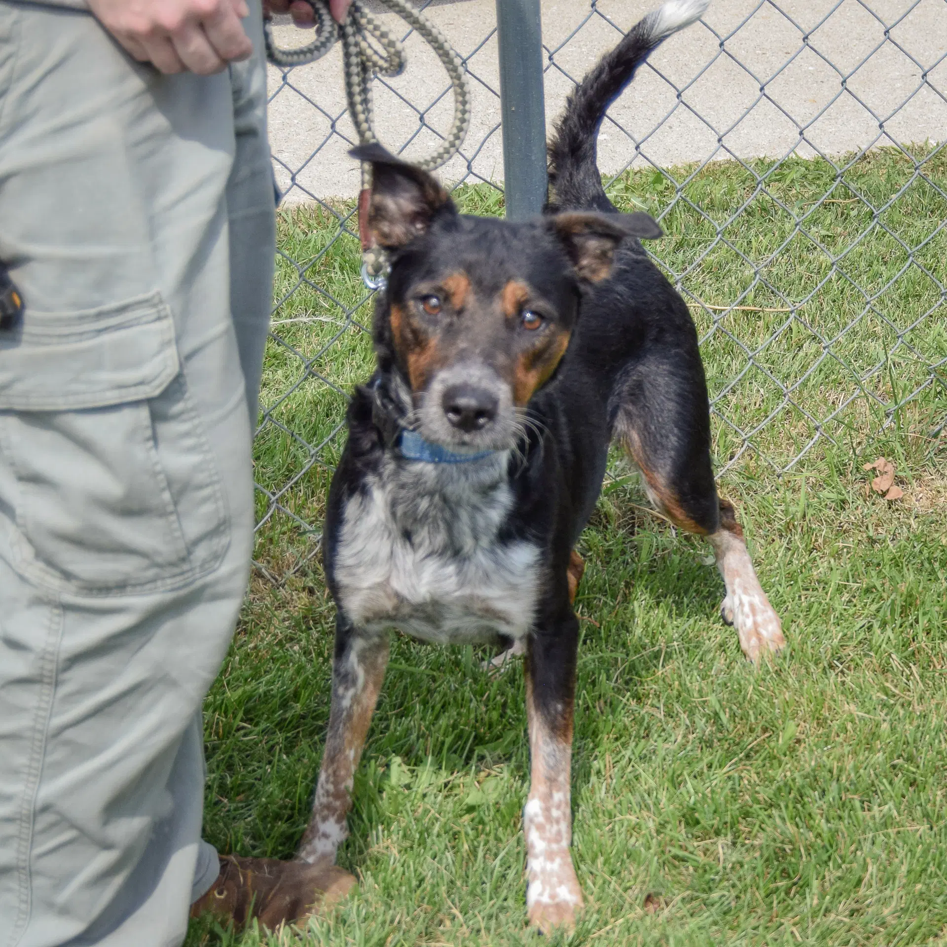 Charlee image 3