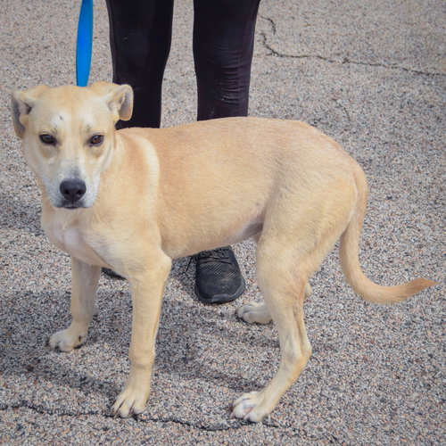Photo 2 of Gwen