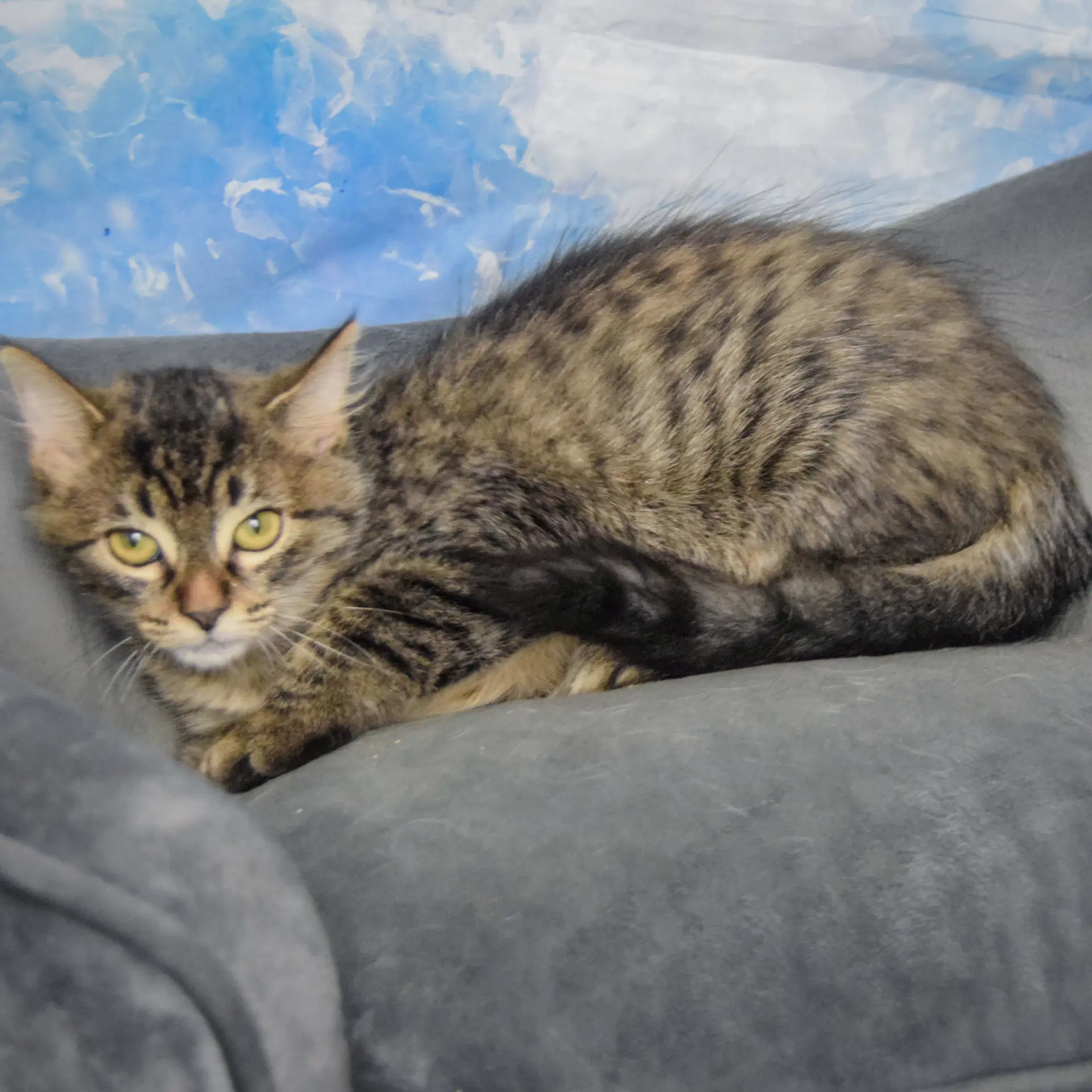 Luna Mae image 2