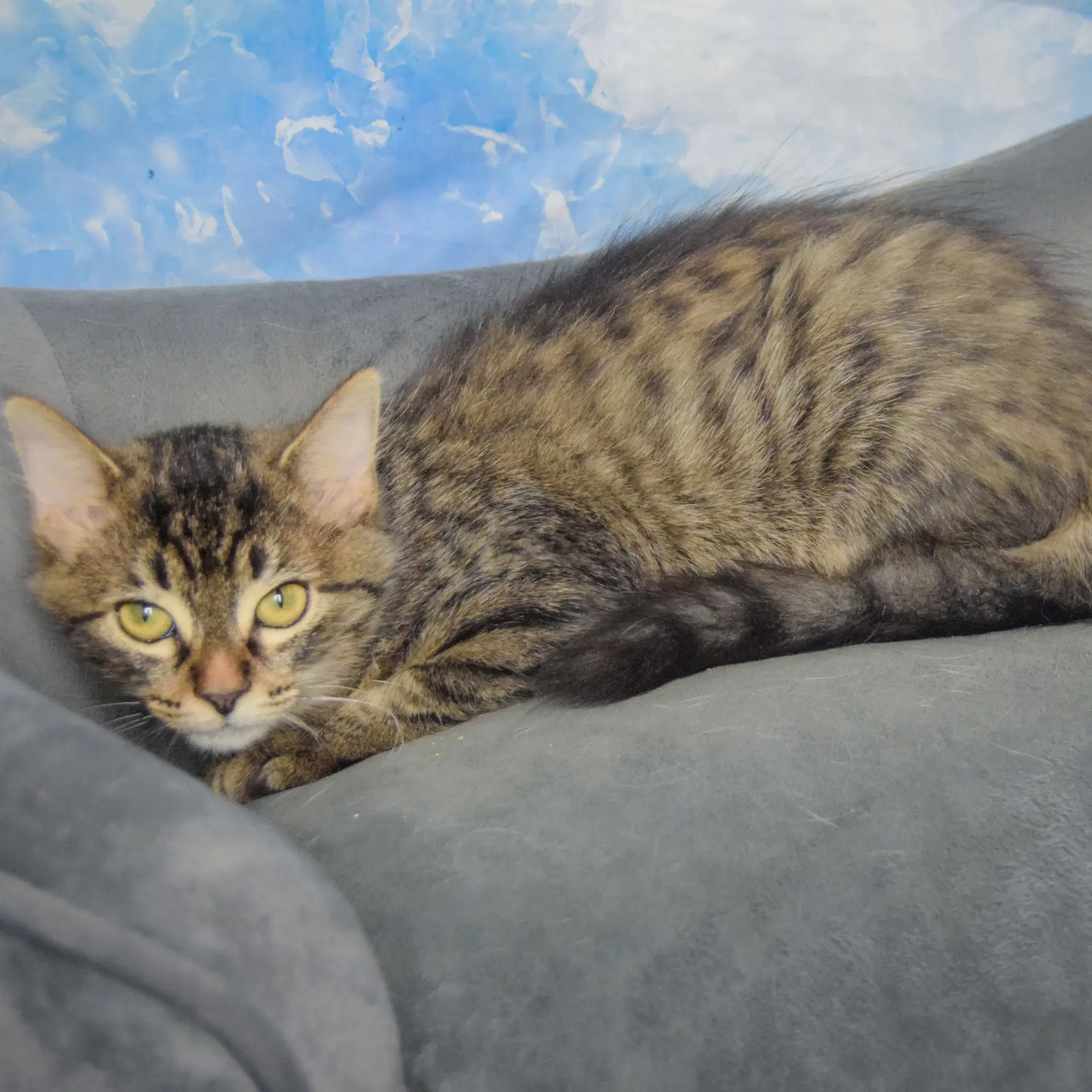 Luna Mae image 3