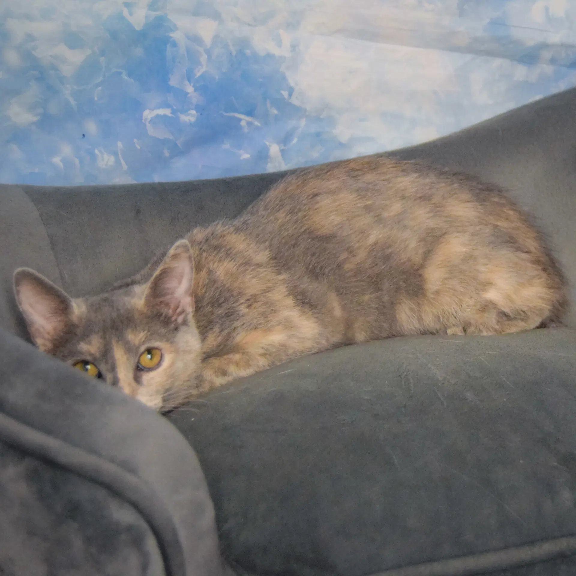 Jaclyn image 3