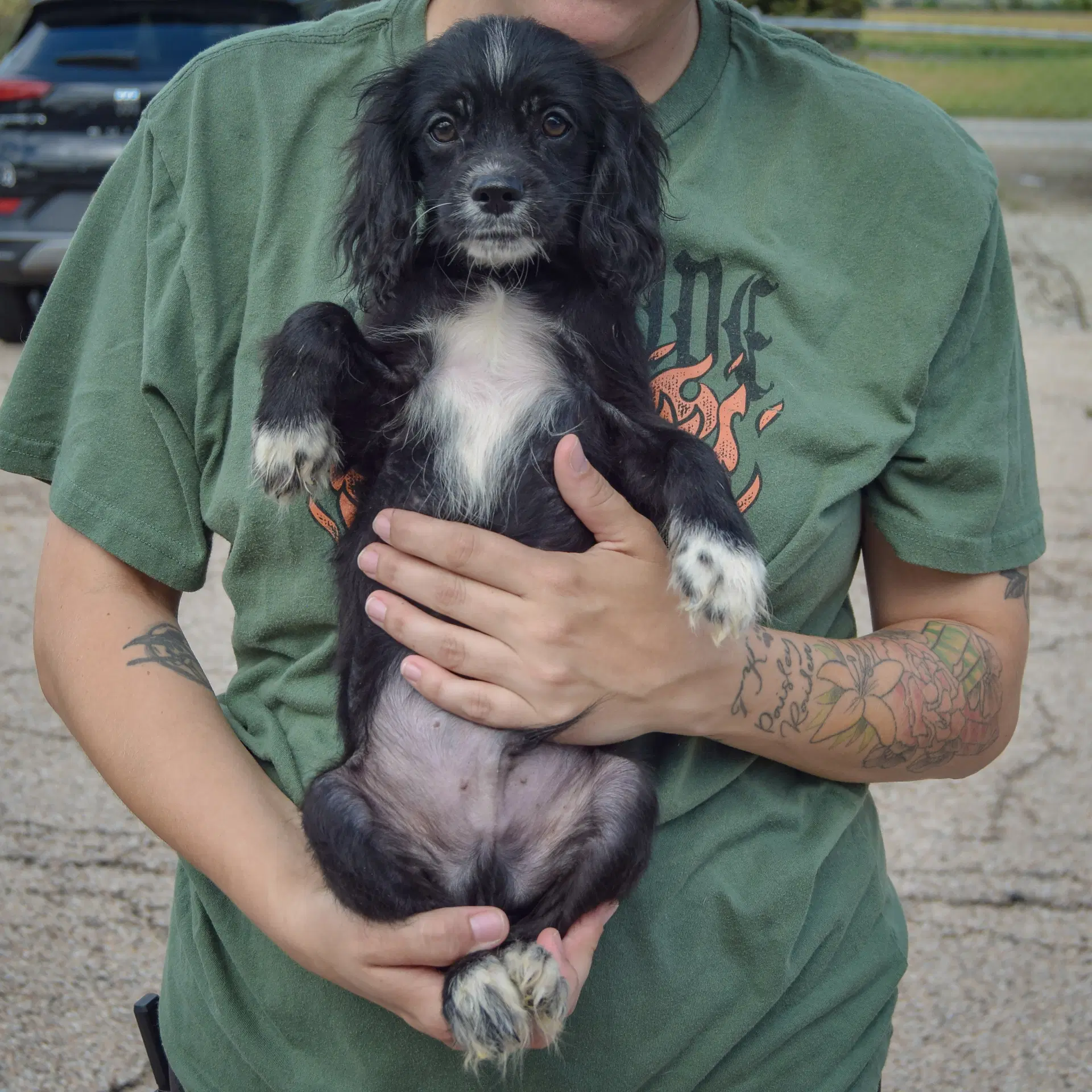 Bert image 3