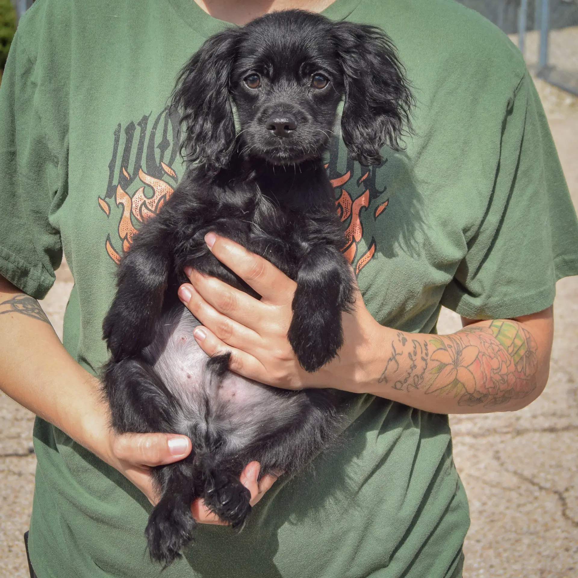 Ernie image 3