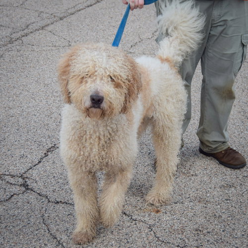 Photo 3 of Doug