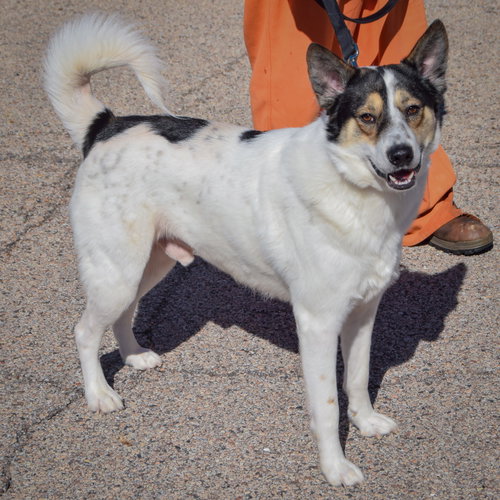 Photo 2 of Winston