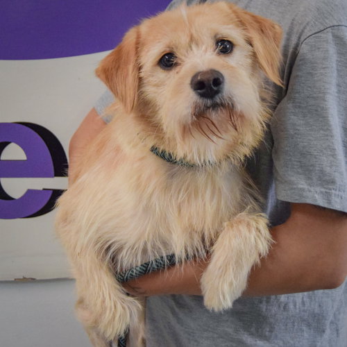Photo 3 of Oliver