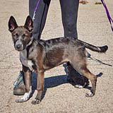 Photo 2 of Mochi