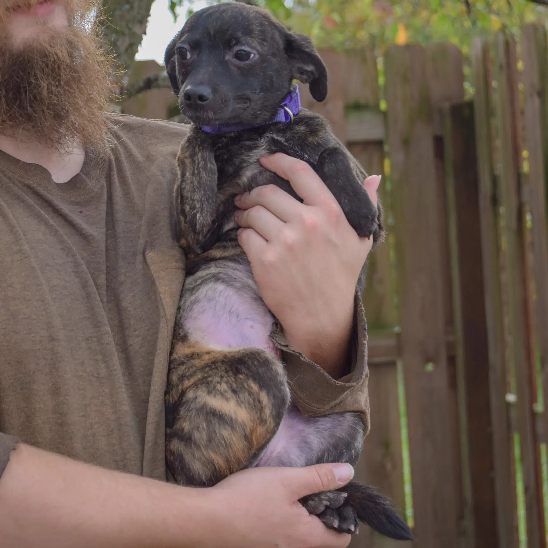 Molly image 3