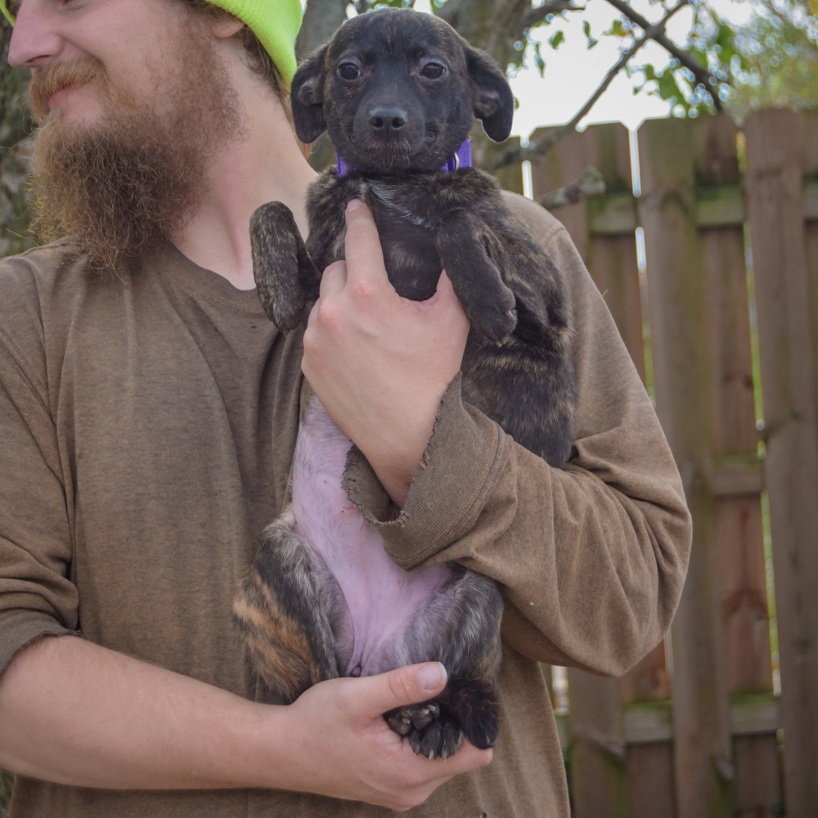 Molly, photo 4