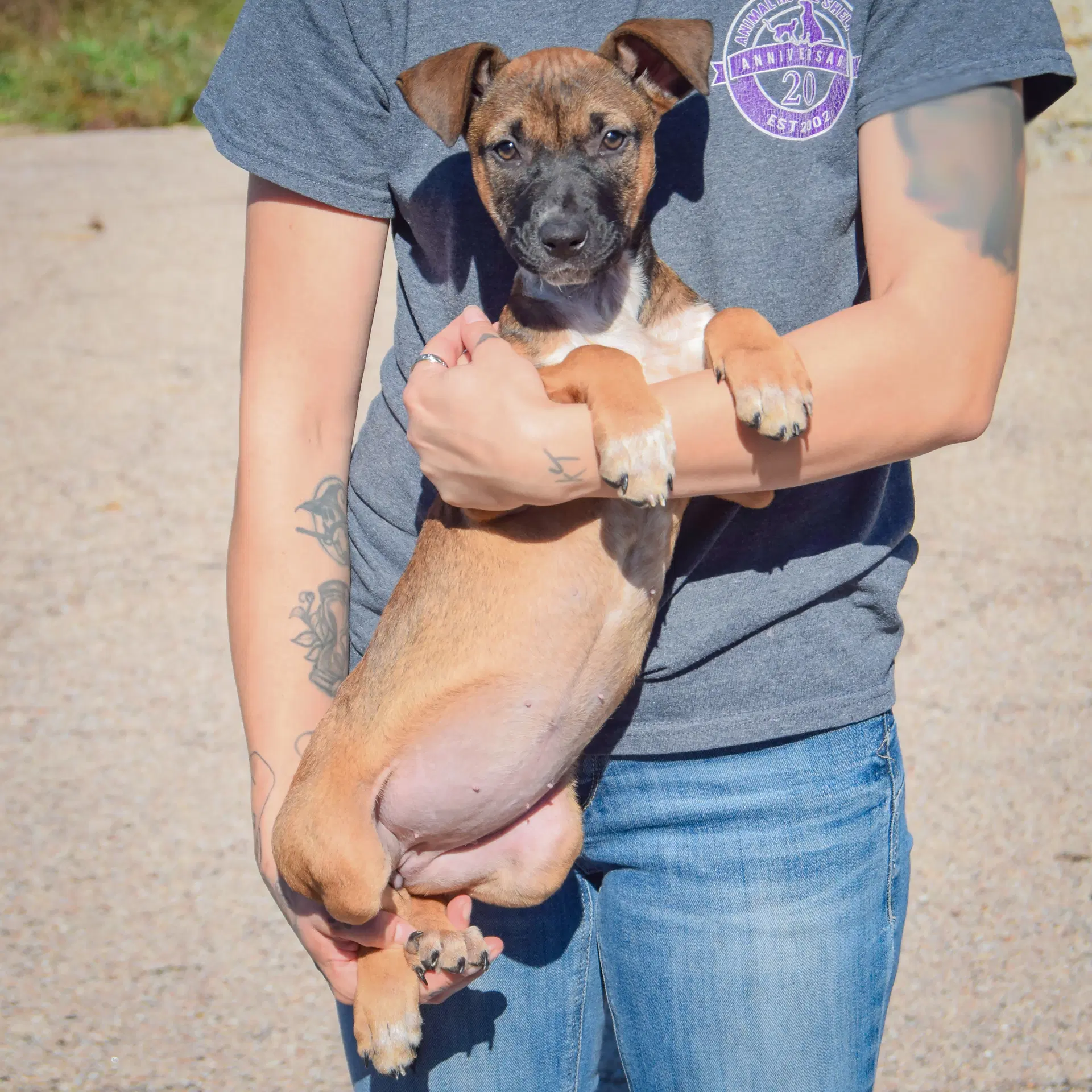 Winifred image 3