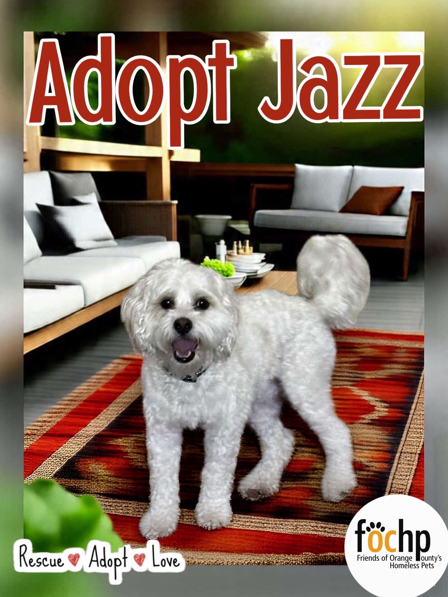 adoptable Dog in Orange, CA named Jazz
