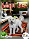 adoptable Dog in Orange, CA named Jazz