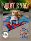 adoptable Dog in  named Kyle