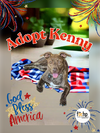 adoptable Dog in Orange, CA named Kenny