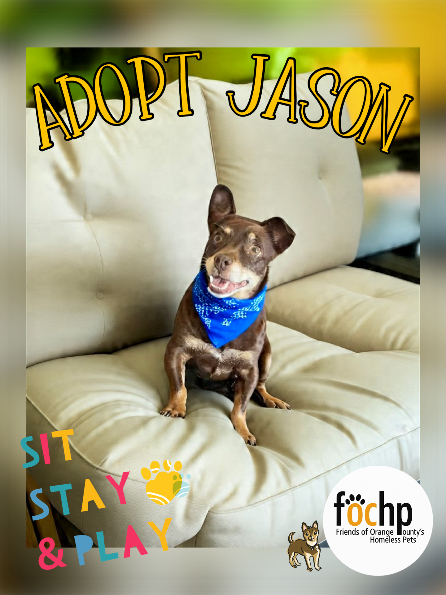 adoptable Dog in Orange, CA named Jason