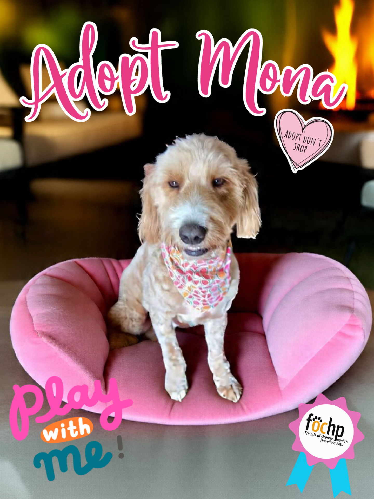 adoptable Dog in Orange, CA named Mona