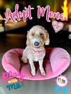 adoptable Dog in Orange, CA named Mona