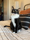 Mia - Photo 1