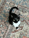 Mia - Photo 2