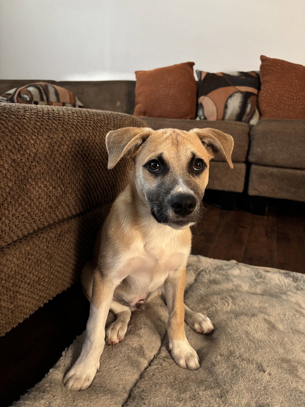 Max