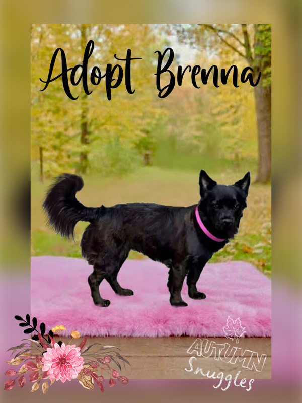 Brenna