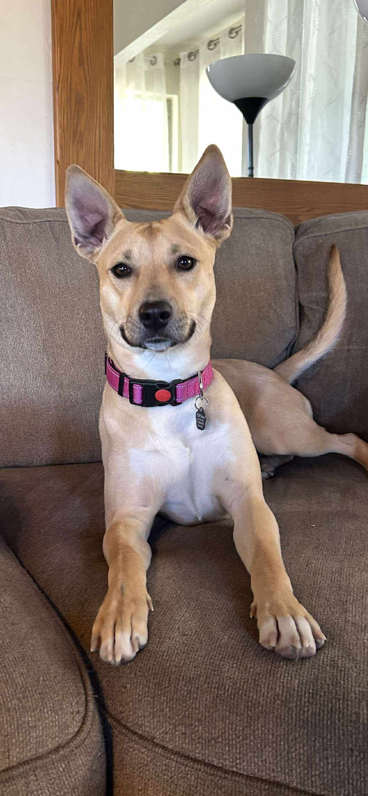 Thelma