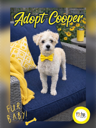 Cooper Image