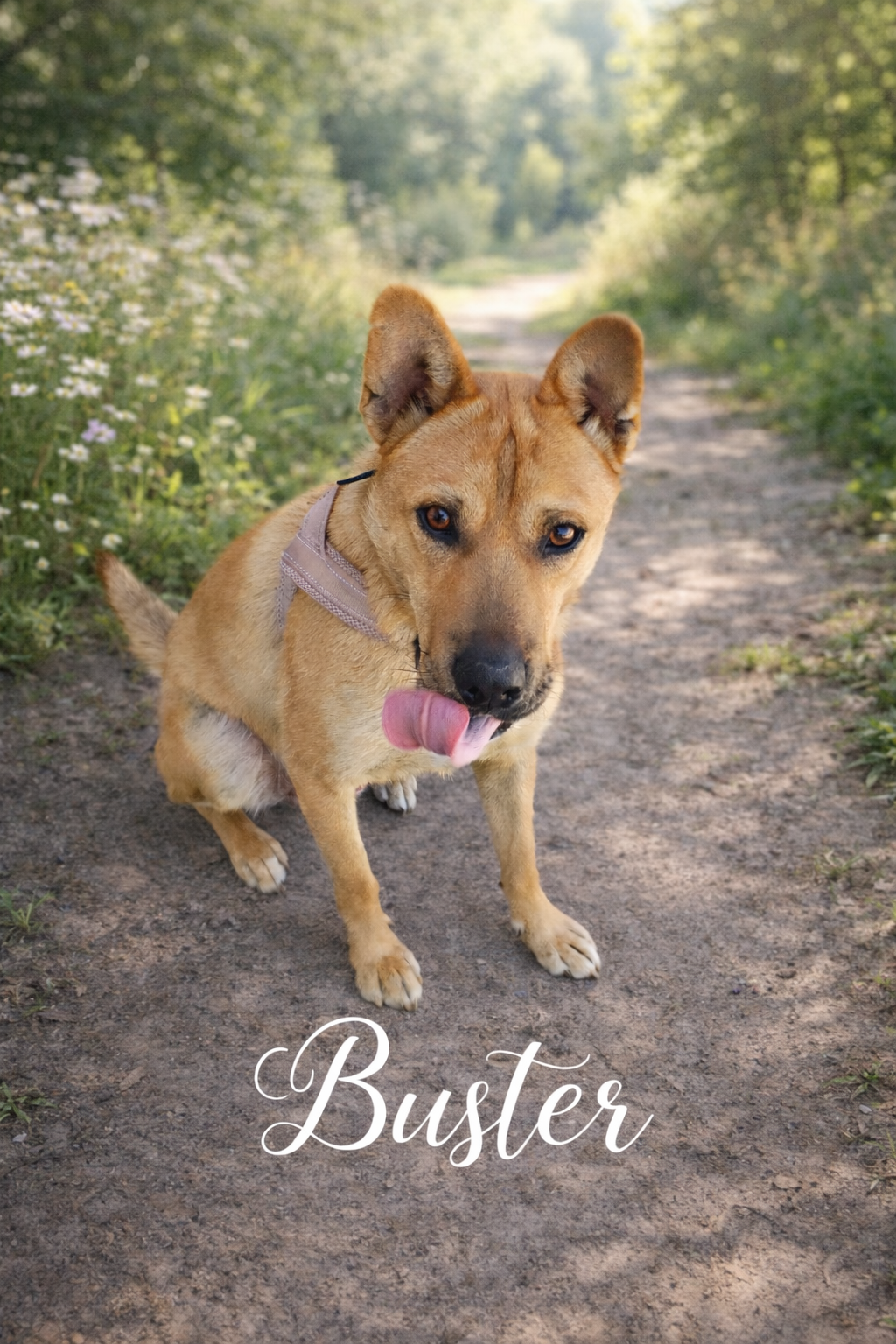 Buster