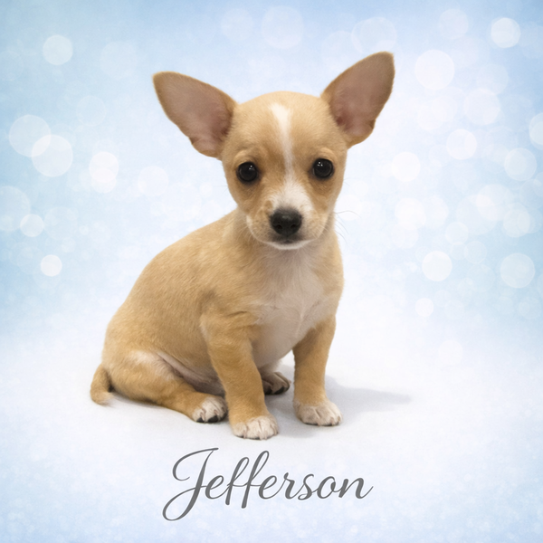 Jefferson