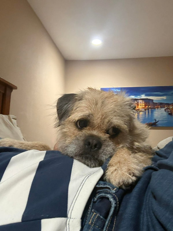 Stan