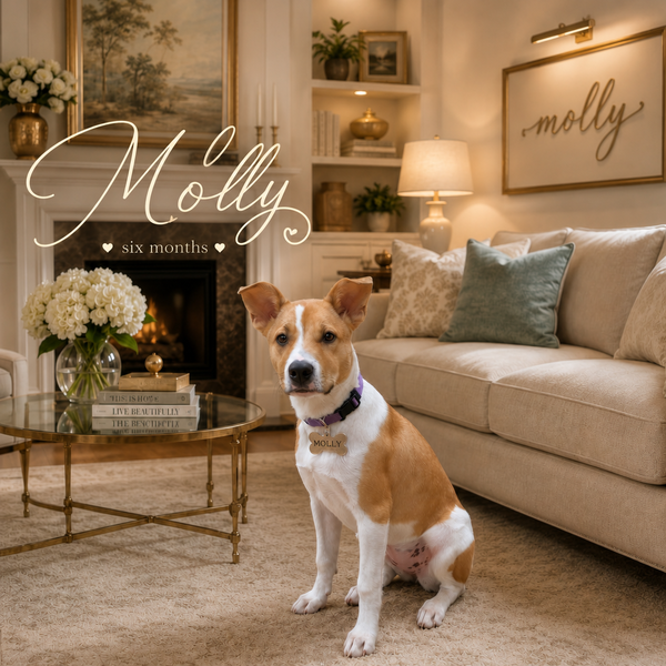 Molly