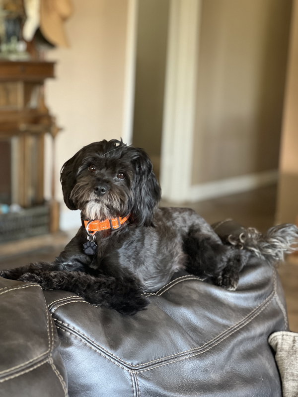 Precious